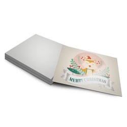 Postal 300g | 9x15cm | 4/0 | UV 1/0